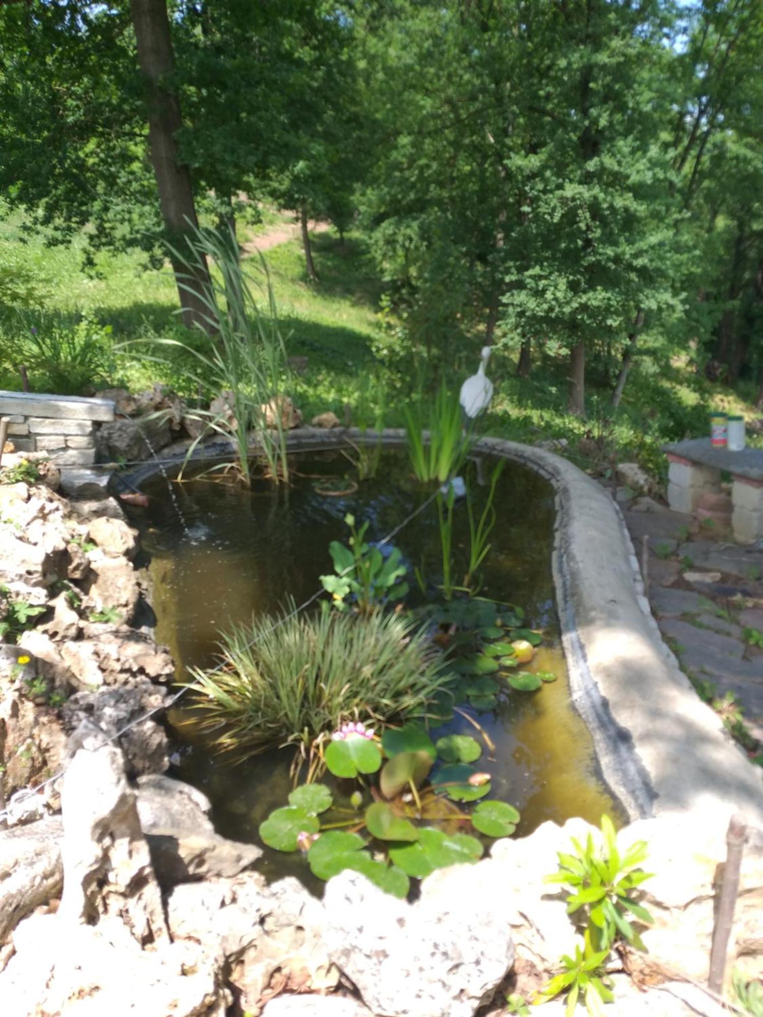 B&B La Bianchina Monale Екстер'єр фото